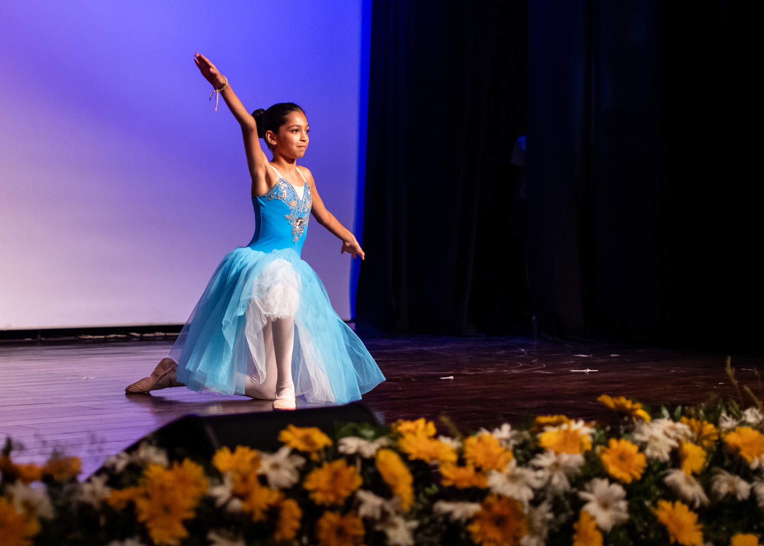 The British School, New Delhi photo 9