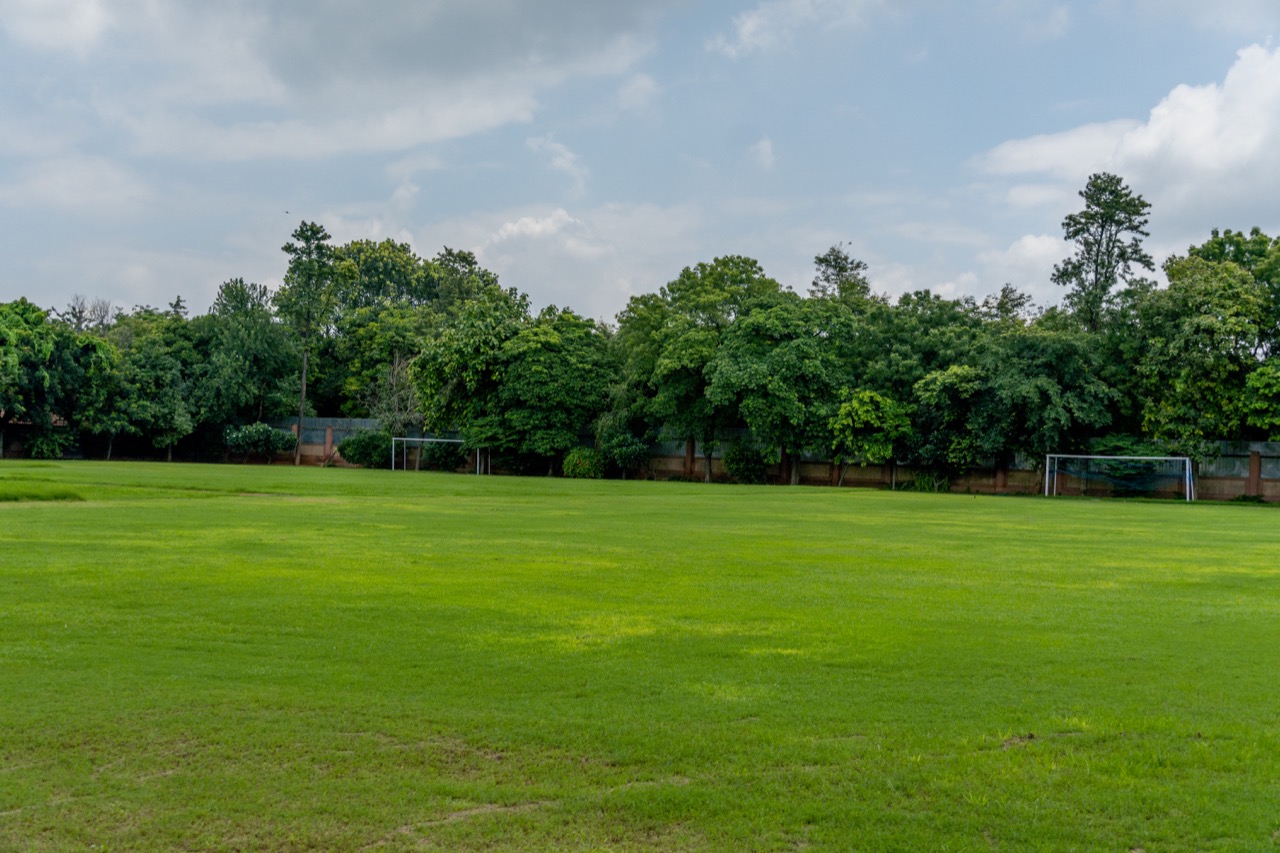 Vasant Valley School, Vasant Kunj photo 8